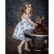 Gray Butterfly Girl Birthday Dress