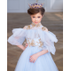 Blue with Gold Princess Dress