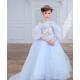 Blue with Gold Princess Dress