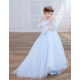 Blue with Gold Princess Dress