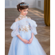 Blue with Gold Princess Dress