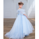 Blue with Gold Princess Dress