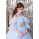 Blue with Gold Princess Dress