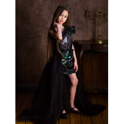 Luxurious Black with Green Party Dress
