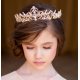 Little Princess Tiara