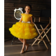 Yellow Bow Birthday Dress