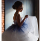 Sparkling Star Blue with White Birthday Dress